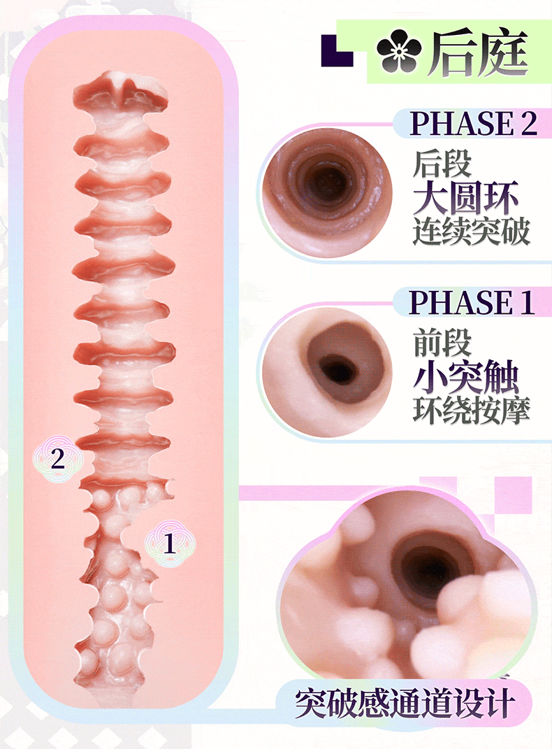 宫花真实之尻2代 detail