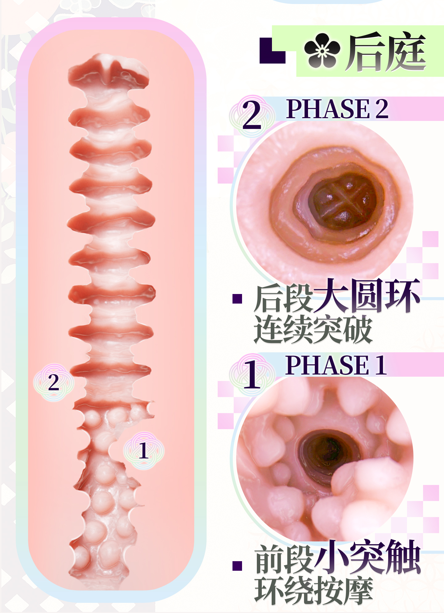 宫花真实之尻2代 detail